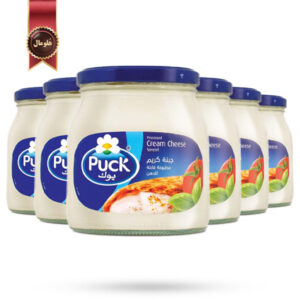 6 عدد پنیر سفید خامه ای بوک Puck وزن 500 گرم